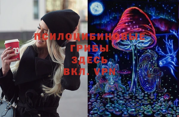 Альфа ПВП Аркадак