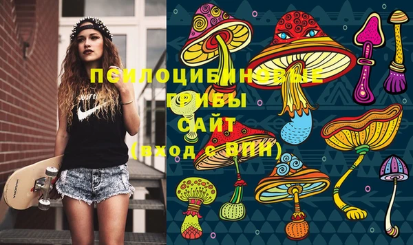 шишки Армянск