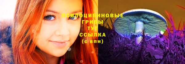 шишки Армянск